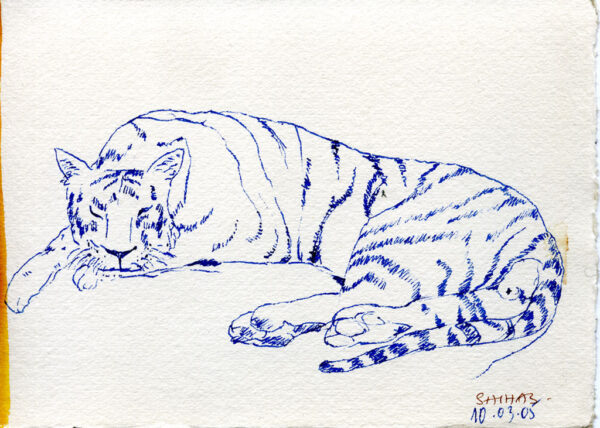 Tiger | 2005 | pen drawing on paper | 12 x 17 cm